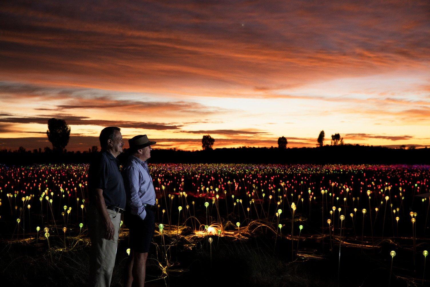 Two people viewing the Field of Lights operated by Ayers Rock Resort