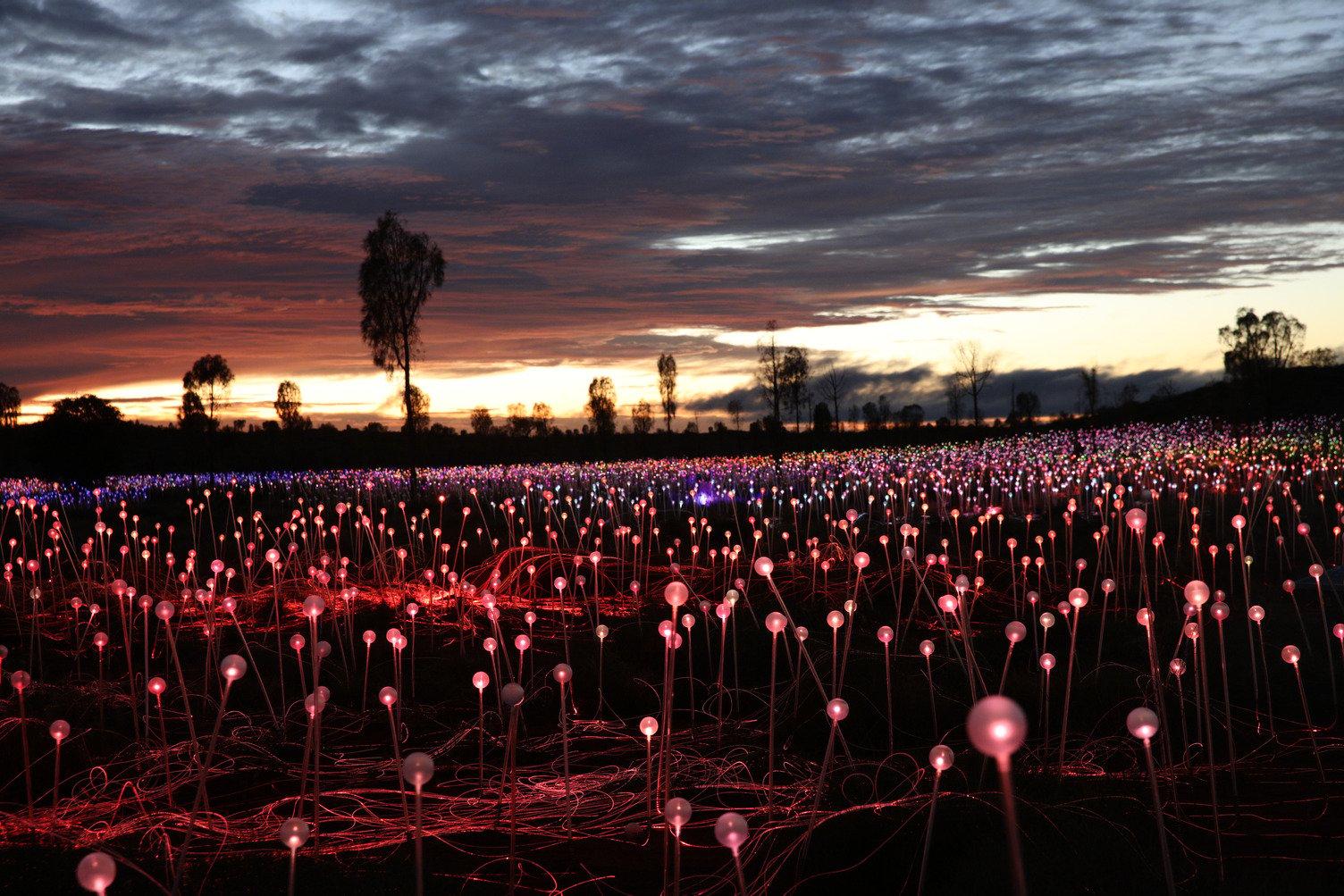 Viewing of Field of Light Star Pass operated by Ayers Rock Resort