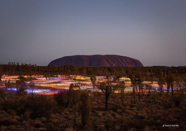 The Field of Light art installation in front of Uluru
