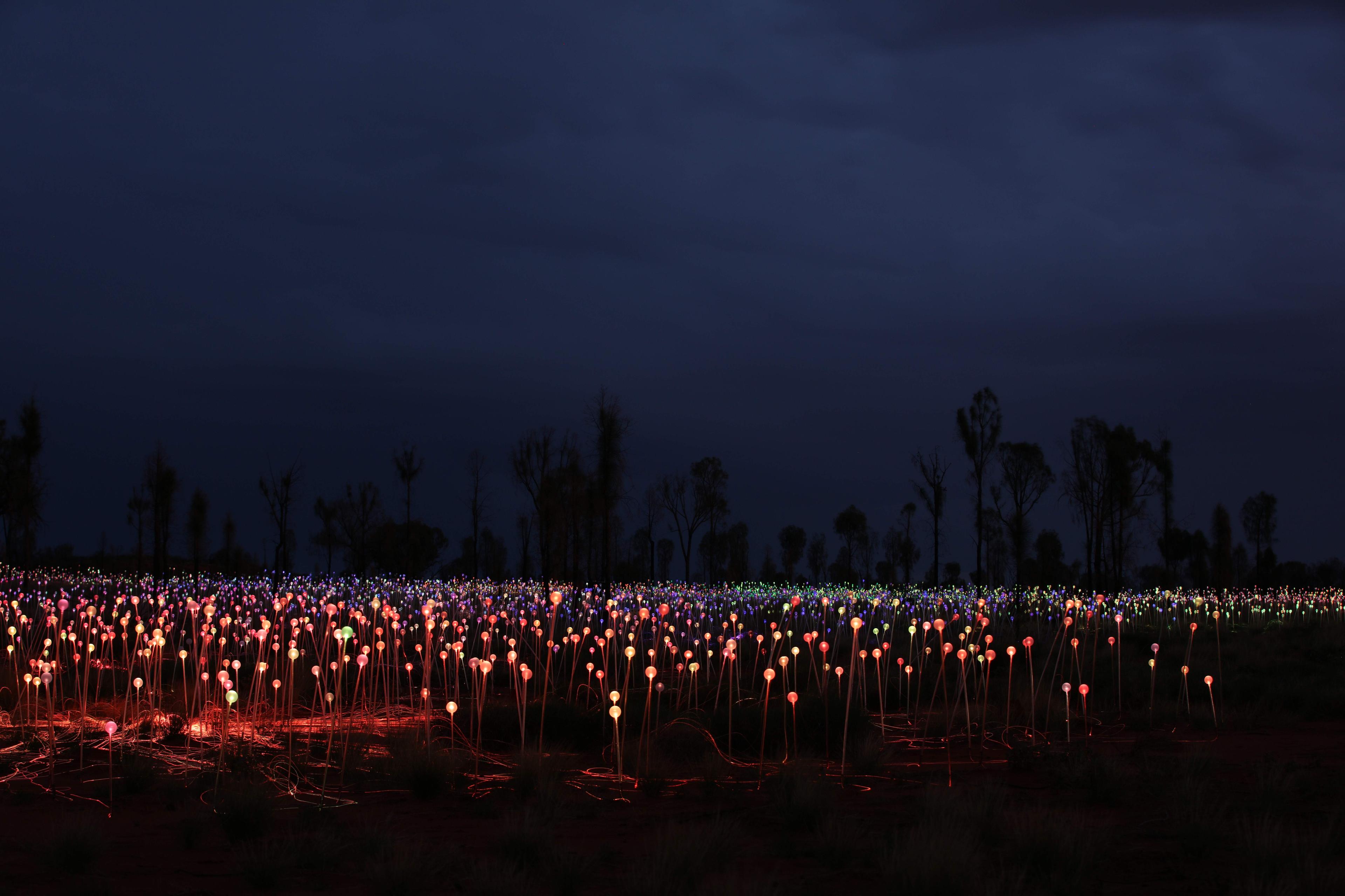 Field of Light