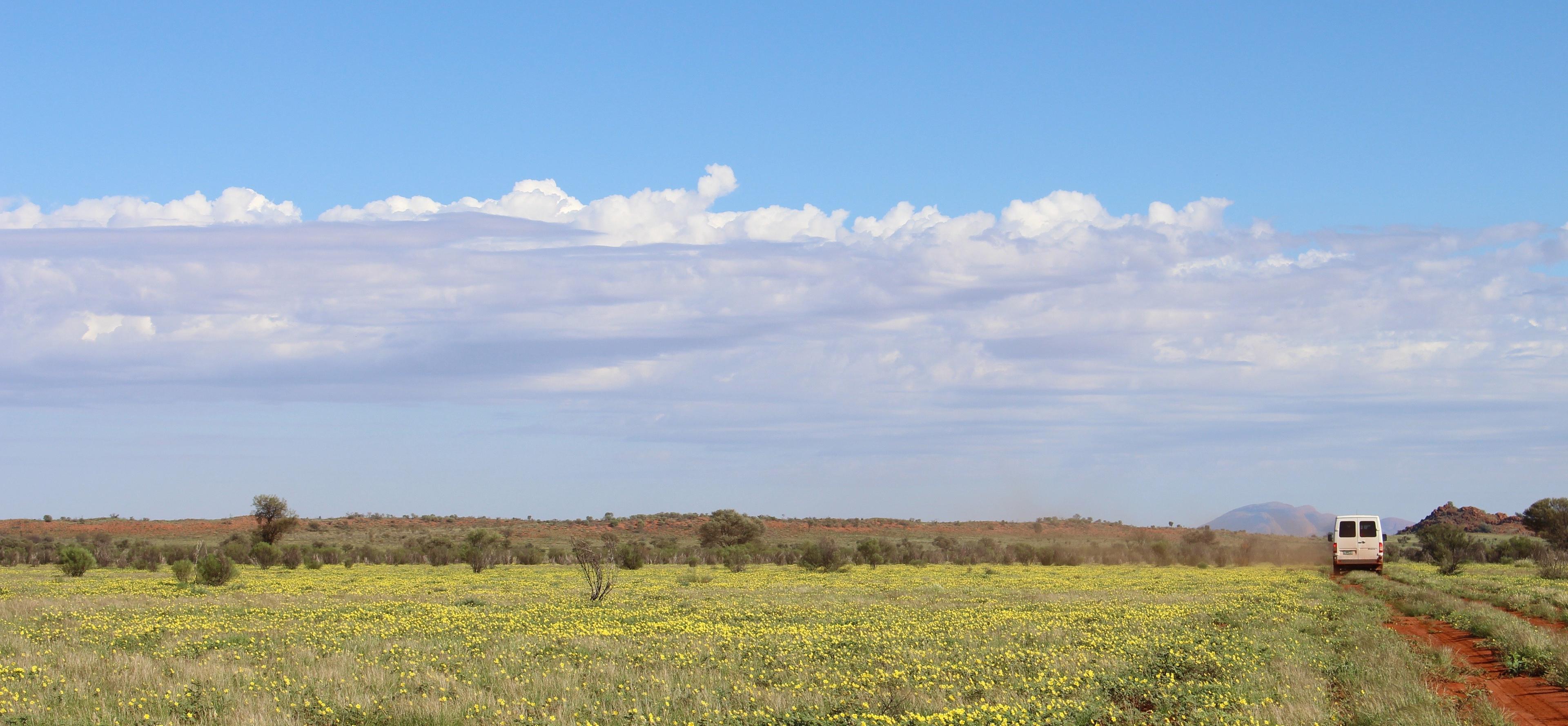australia outback road with van