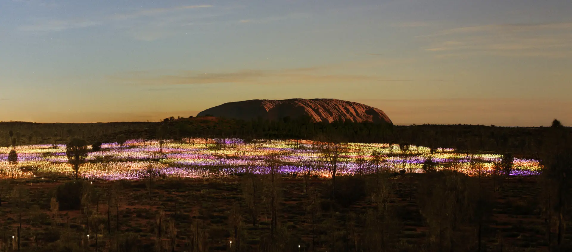 field of light at night