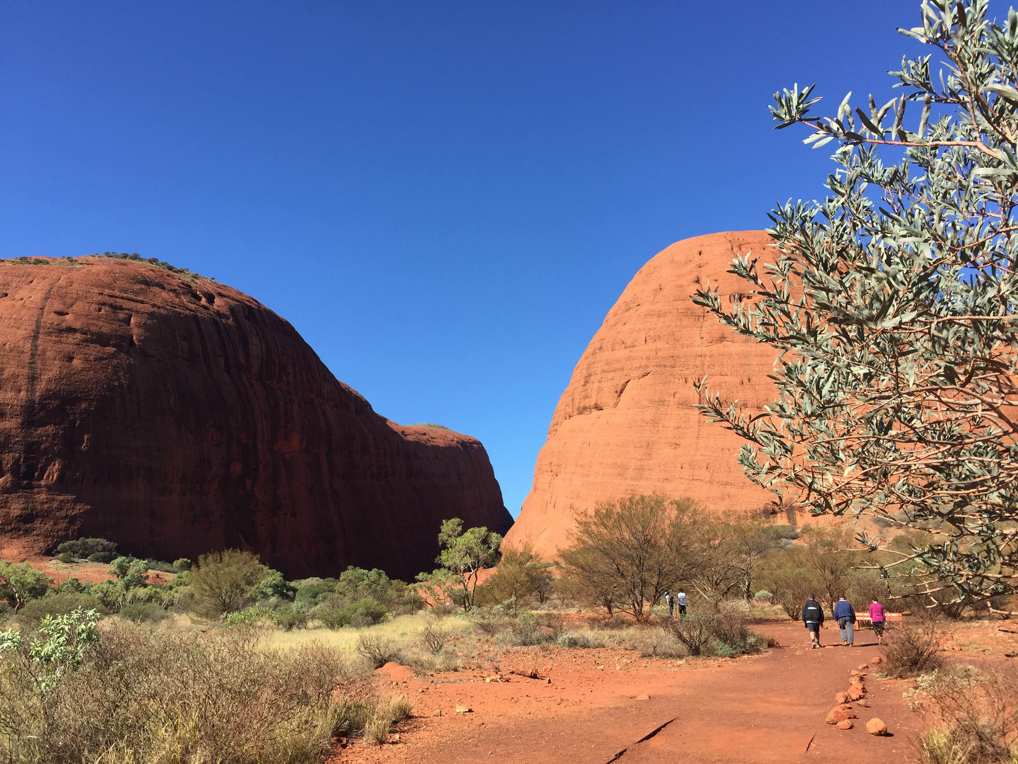 The Australian outback