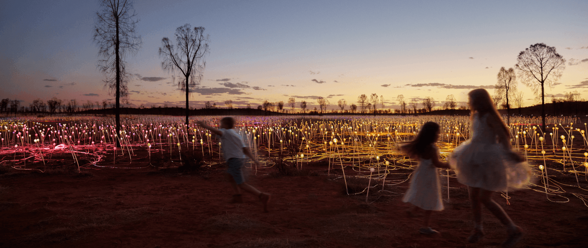 Wow Campaign Field of Lights Experience