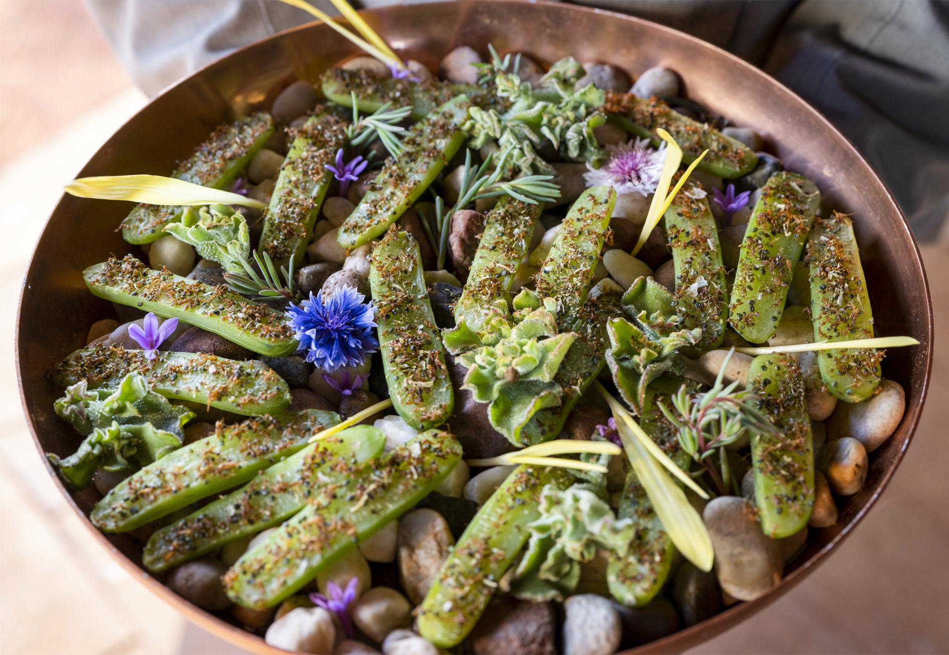 Tali Wiru canape - Gin compressed cucumber with green ants