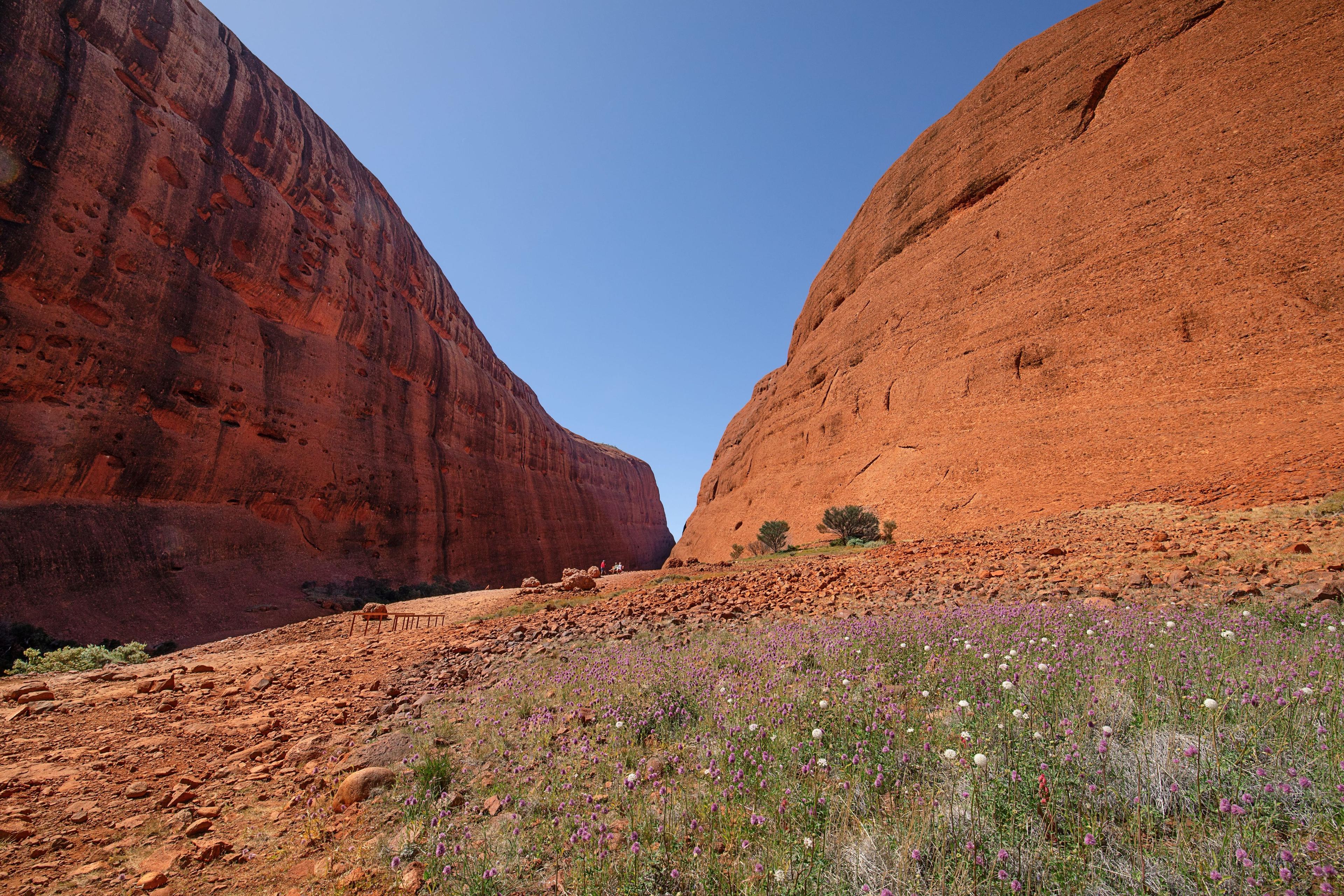 Uluru Sunrise & Kata Tjuta