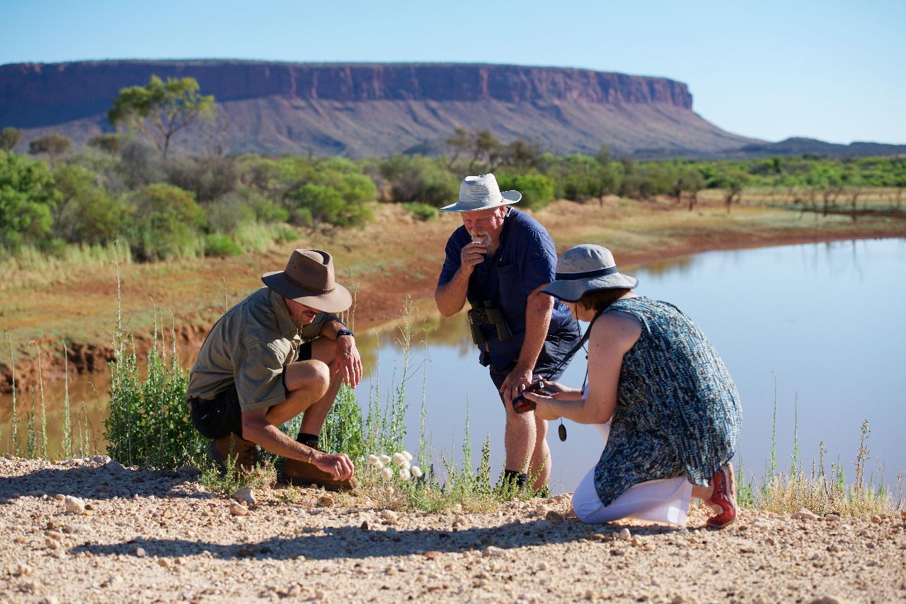 Guests on a guided tour of Mt Conner