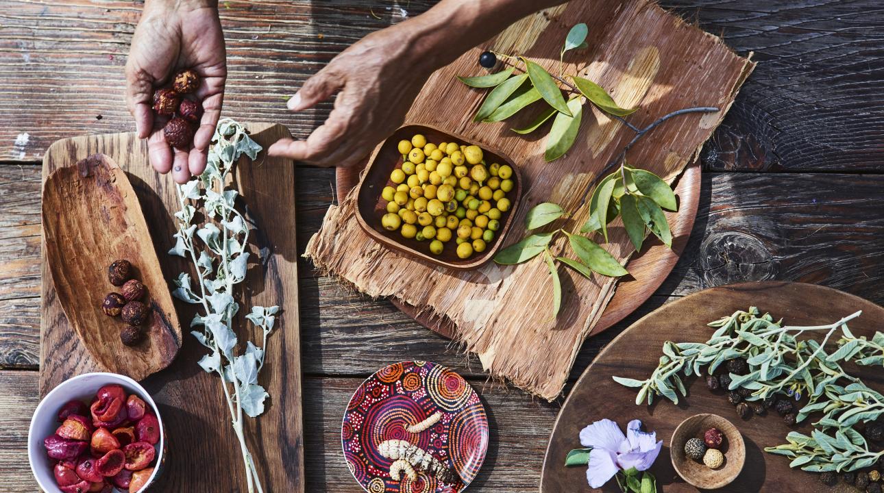 Bush Food Experience with Native Ingredients