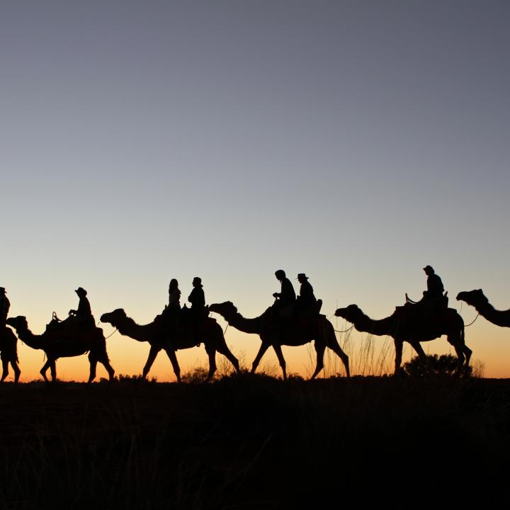 A silhouette of people riding camels at sunset