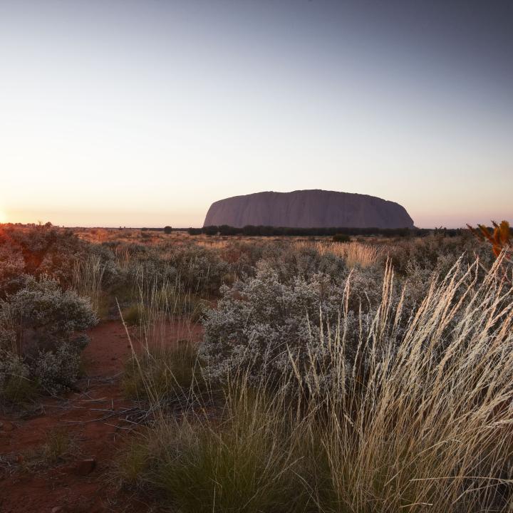 Sunrise next to Uluru