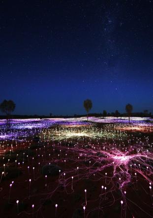 Field of light with starry sky